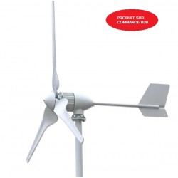 Kit éolienne à usage domestique 1000W