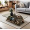 Table basse vitré "  LUMINA" avec  range  magazine 1 M