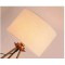 Lampadaire trepieds  avec abat - jour classique